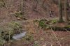 Eisenach-Drachenschlucht-111231-1DSC_0966.JPG