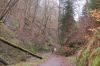 Eisenach-Drachenschlucht-111231-1DSC_0995.JPG