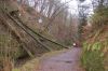 Eisenach-Drachenschlucht-111231-DSC_0073.JPG