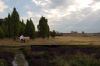 Niedersachsen-Lueneburger-Heide-110821-DSC_0045.JPG
