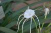 Berlin-Botanischer-Garten-110925-DSC_0183.JPG