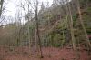Thueringer-Impressionen-111231-DSC_0949.JPG