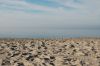 Polen-Ustka-Stolpmuende-111002-DSC_0038.JPG