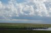 Friedrichskoog-Seehundstation-100828-DSC_0001_0287.JPG